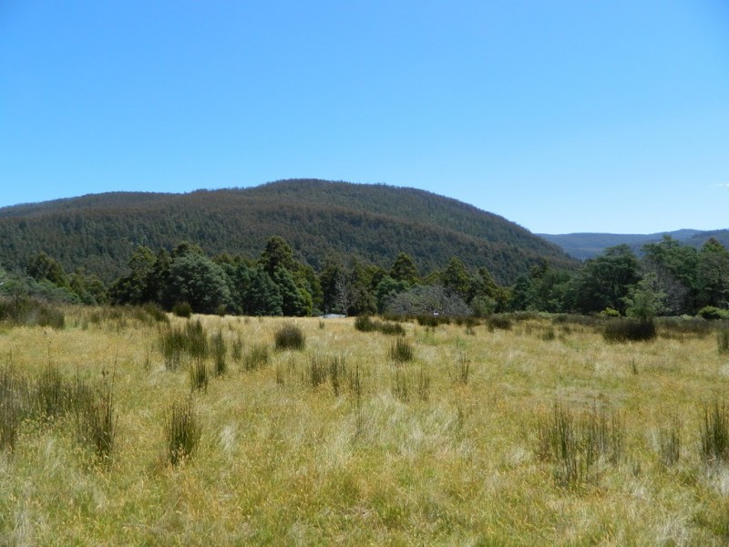 Lachlan TAS 7140