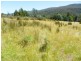 Lachlan TAS 7140