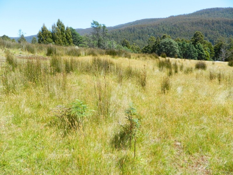 Lachlan TAS 7140