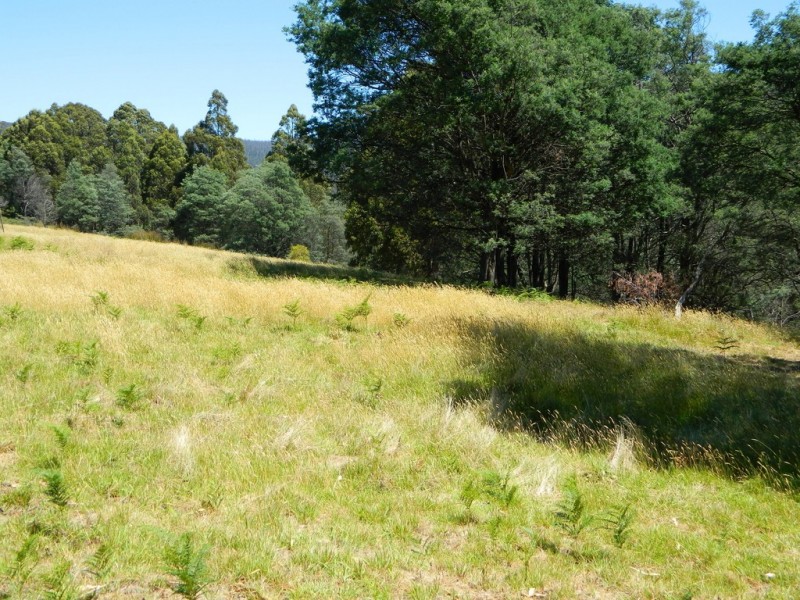 Lachlan TAS 7140