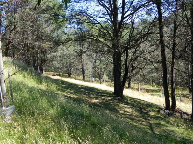 Lachlan TAS 7140