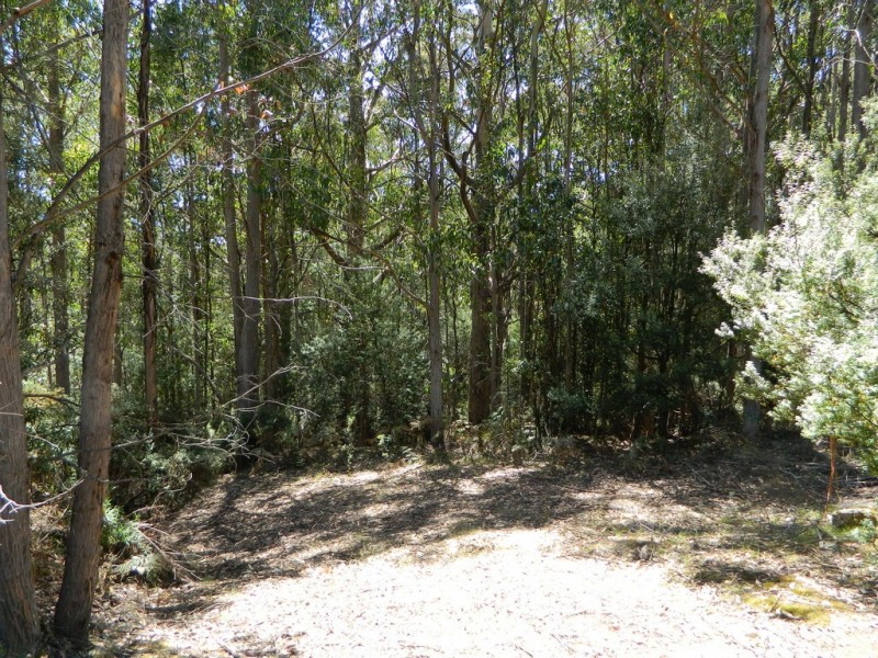 Lachlan TAS 7140