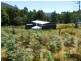 Lachlan TAS 7140