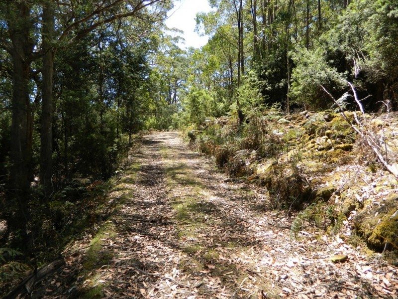 Lachlan TAS 7140