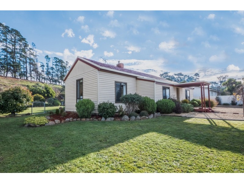 1725 Glenora Road, Bushy Park TAS 7140