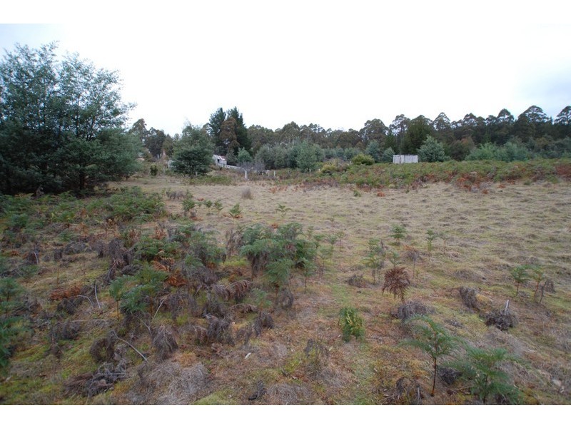 70 Paddy’s Flats Road, Mount Lloyd TAS 7140