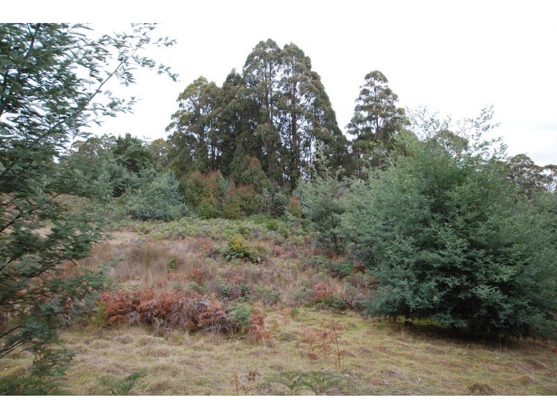 70 Paddy’s Flats Road, Mount Lloyd TAS 7140