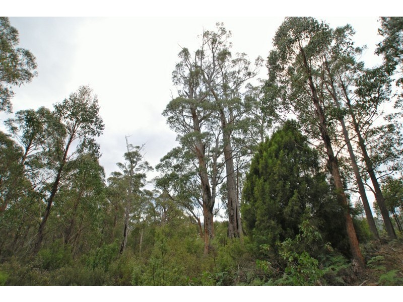 70 Paddy’s Flats Road, Mount Lloyd TAS 7140