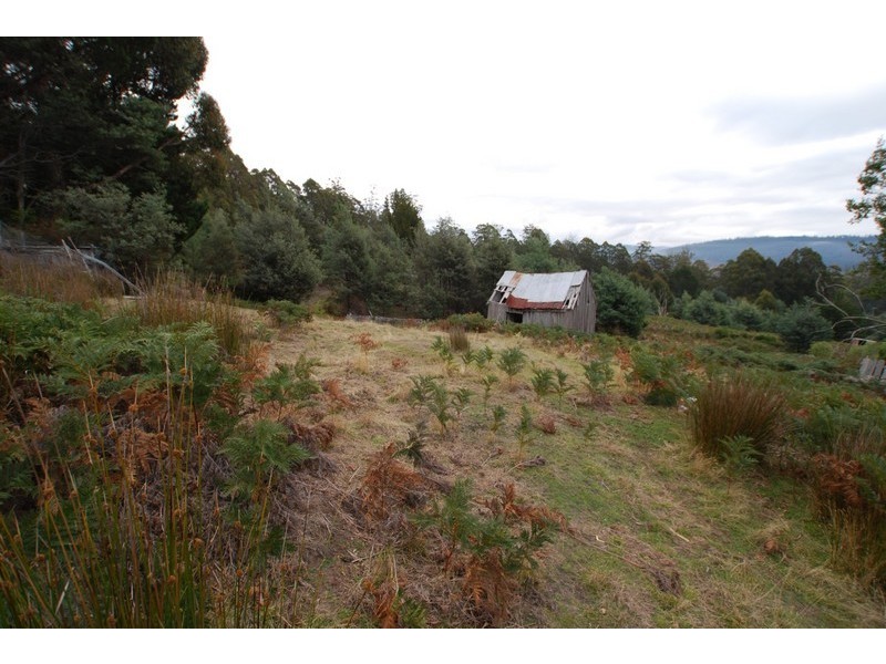 70 Paddy’s Flats Road, Mount Lloyd TAS 7140