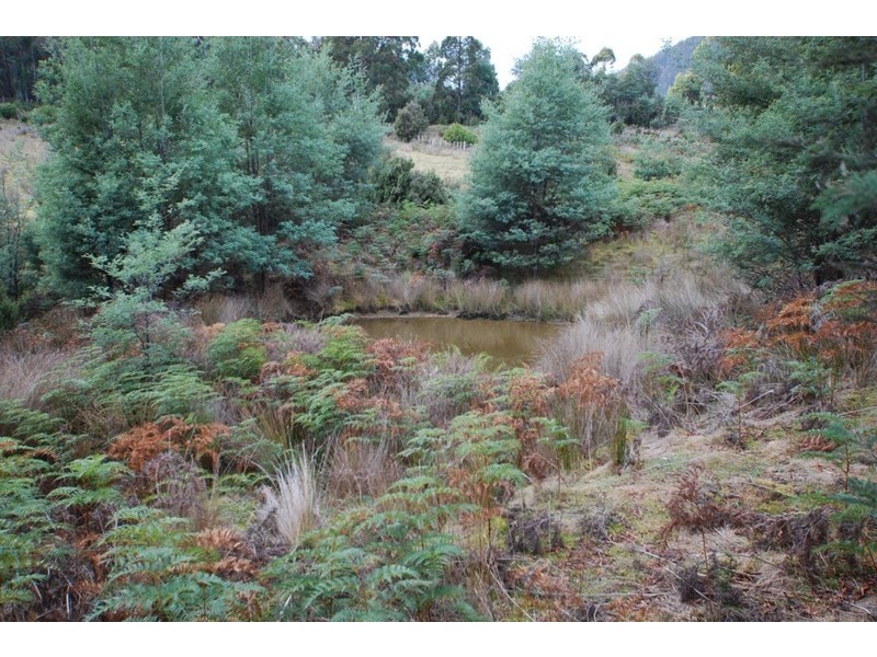 70 Paddy’s Flats Road, Mount Lloyd TAS 7140