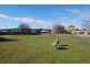 26 Patrick Street, Bothwell TAS 7030