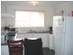 Brighton TAS 7030