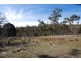 309 Chauncy Vale Road, Bagdad TAS 7030