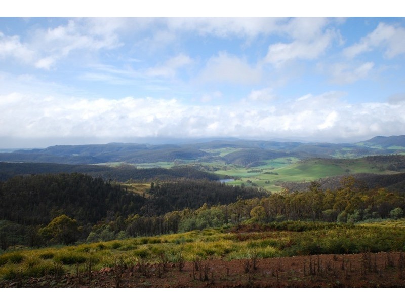 290a Horners Road, Elderslie TAS 7030