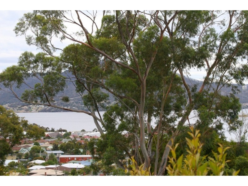 Montrose TAS 7010