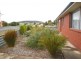 2 Franklin Street, Triabunna TAS 7190
