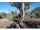 41 Brynafon Road, Dromedary TAS 7030