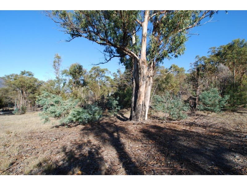 41 Brynafon Road, Dromedary TAS 7030