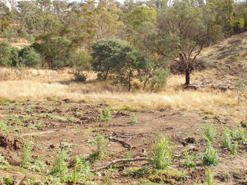 Lot 1 Gangells Lane, Bagdad TAS 7030