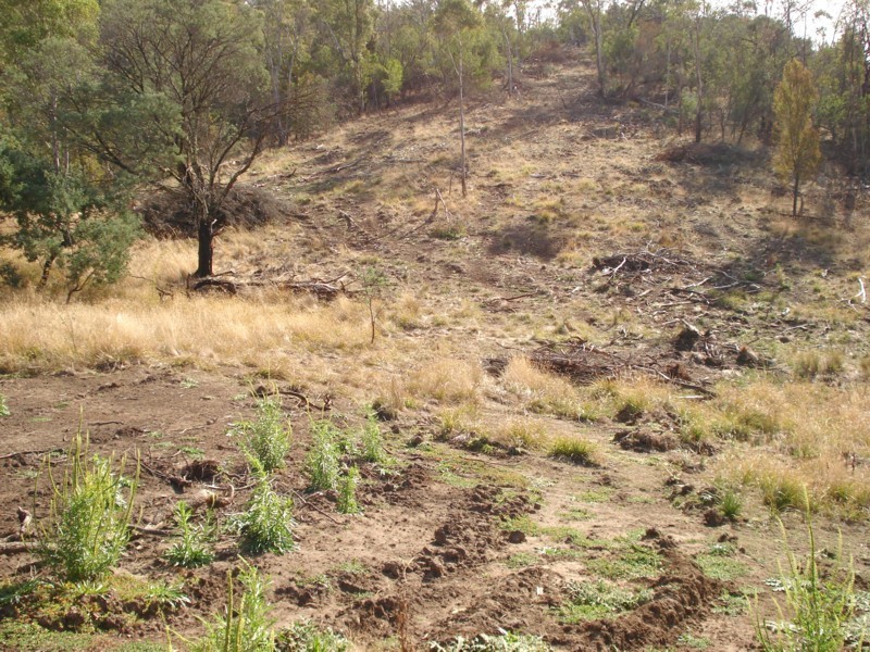 Lot 1 Gangells Lane, Bagdad TAS 7030