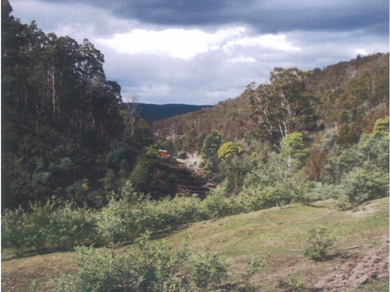 147 Nichols Road, Elderslie TAS 7030