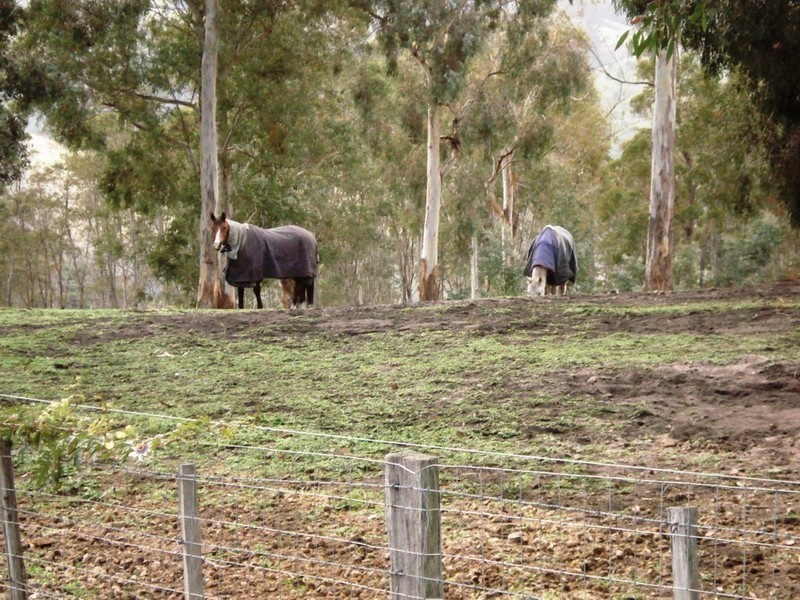 611 Huntingdon Tier Road, Bagdad TAS 7030