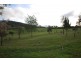 2250 Clifton Vale Road, Dysart TAS 7030
