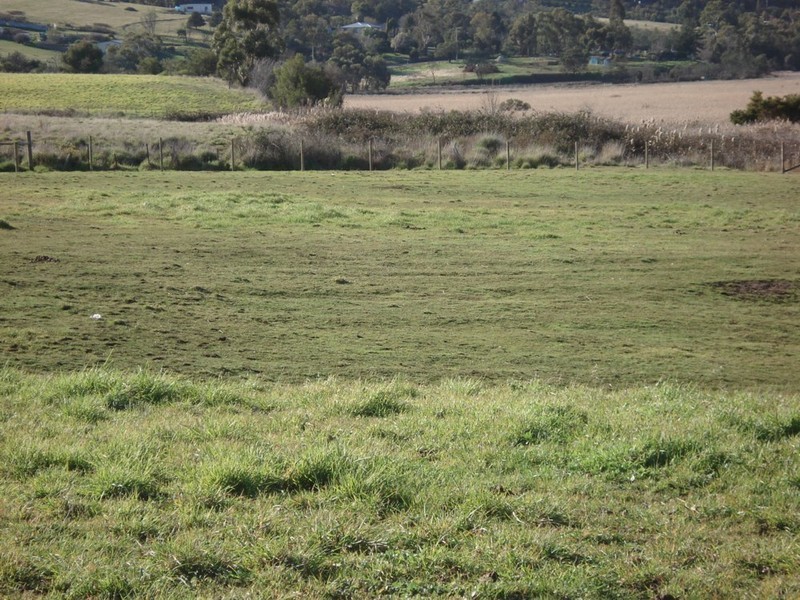 11 Sunrise Avenue, Dromedary TAS 7030