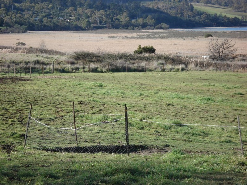 11 Sunrise Avenue, Dromedary TAS 7030