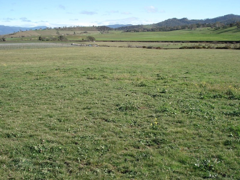 Lot 1 939 TeaTree Road, Tea Tree TAS 7017