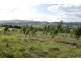 13 Una Court, Brighton TAS 7030