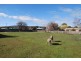 26 Patrick Street, Bothwell TAS 7030
