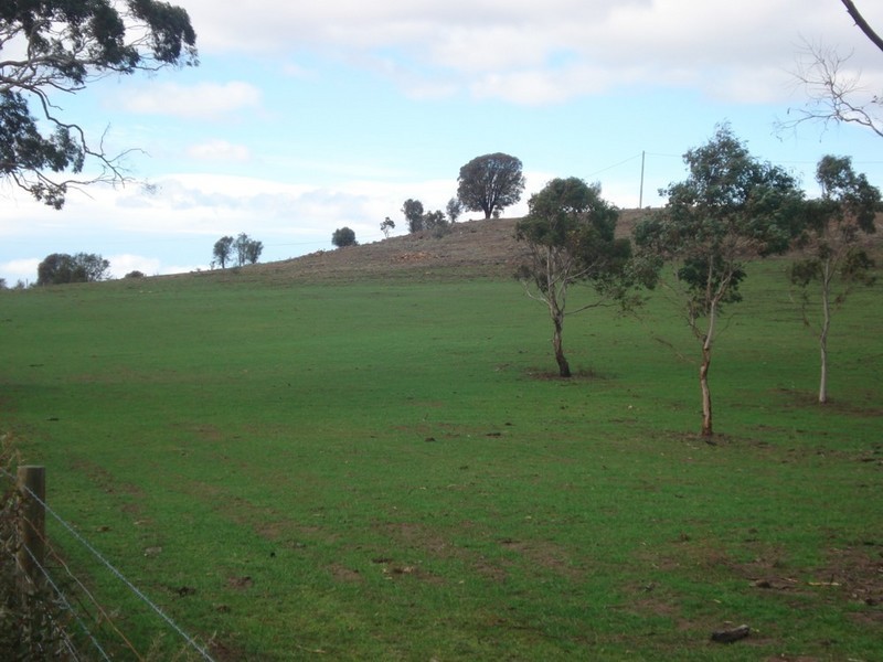 Brighton TAS 7030