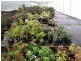 96 Millvale Road, Dromedary TAS 7030