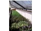 96 Millvale Road, Dromedary TAS 7030