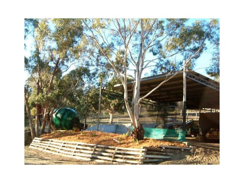 96 Millvale Road, Dromedary TAS 7030