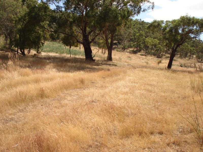 Lot 1 and 1A Millvale Road, Dromedary TAS 7030