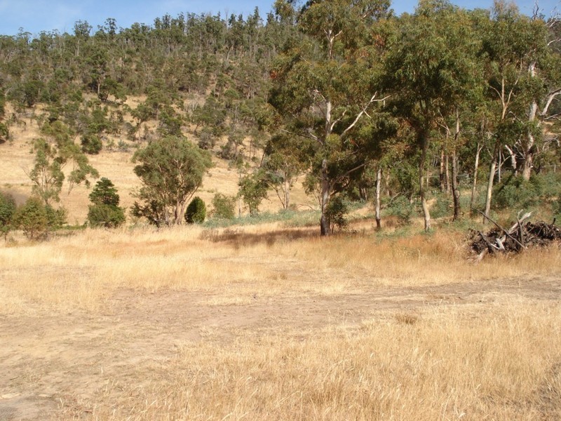 Lot 1 and 1A Millvale Road, Dromedary TAS 7030