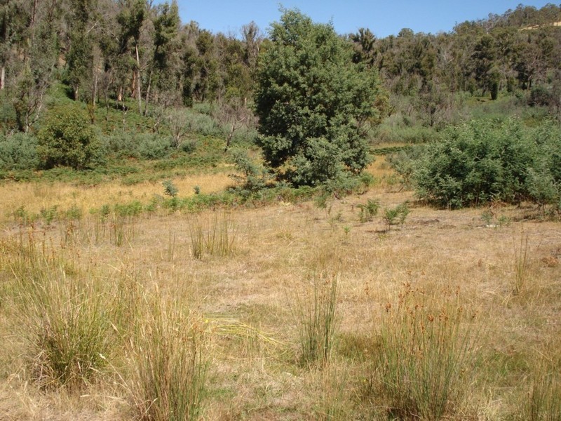 0 Bluff Road, Elderslie TAS 7030