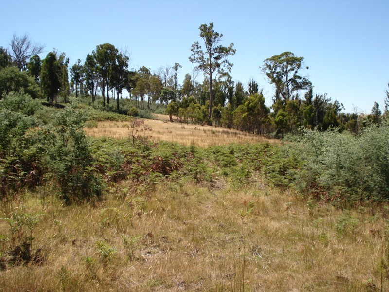 0 Bluff Road, Elderslie TAS 7030