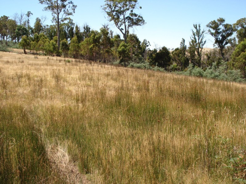 0 Bluff Road, Elderslie TAS 7030