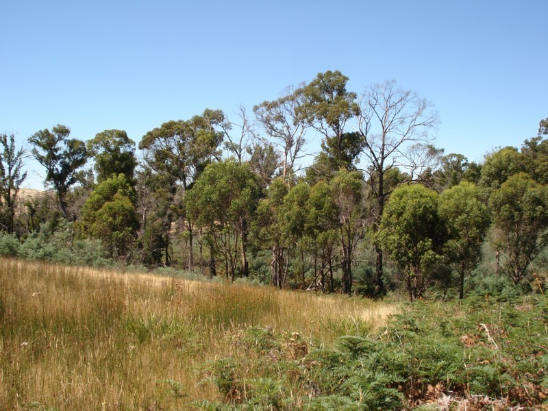 0 Bluff Road, Elderslie TAS 7030