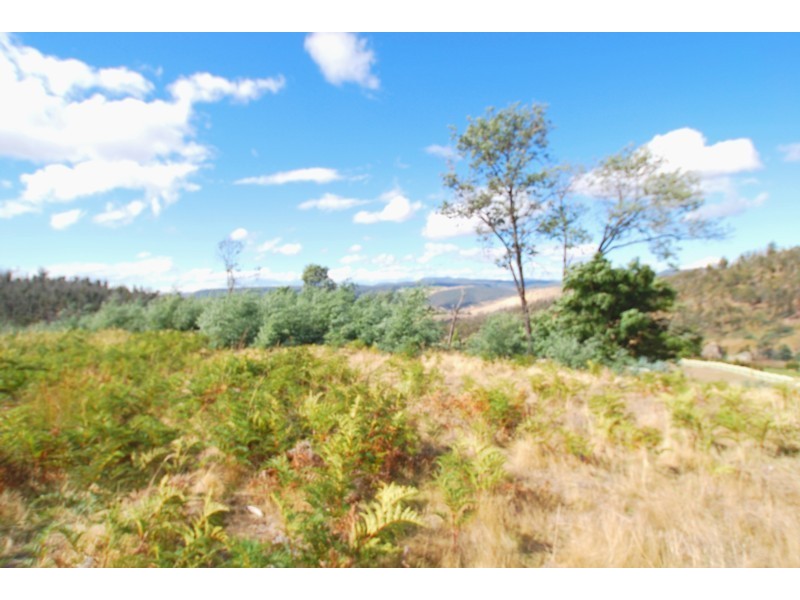 Lot 6 and 7 Horners Road, Elderslie TAS 7030
