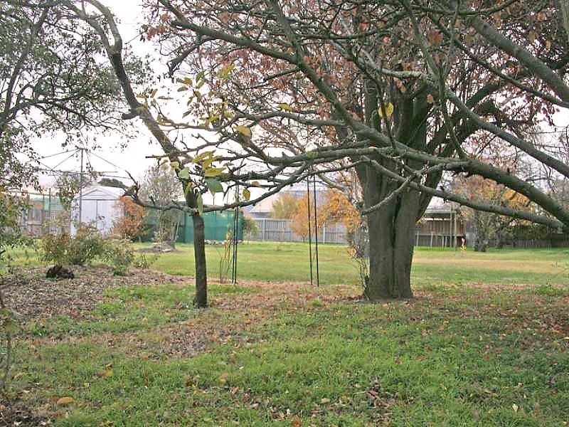 5 Alexander Street, Bothwell TAS 7030