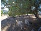 34 Winstead Road, Bagdad TAS 7030