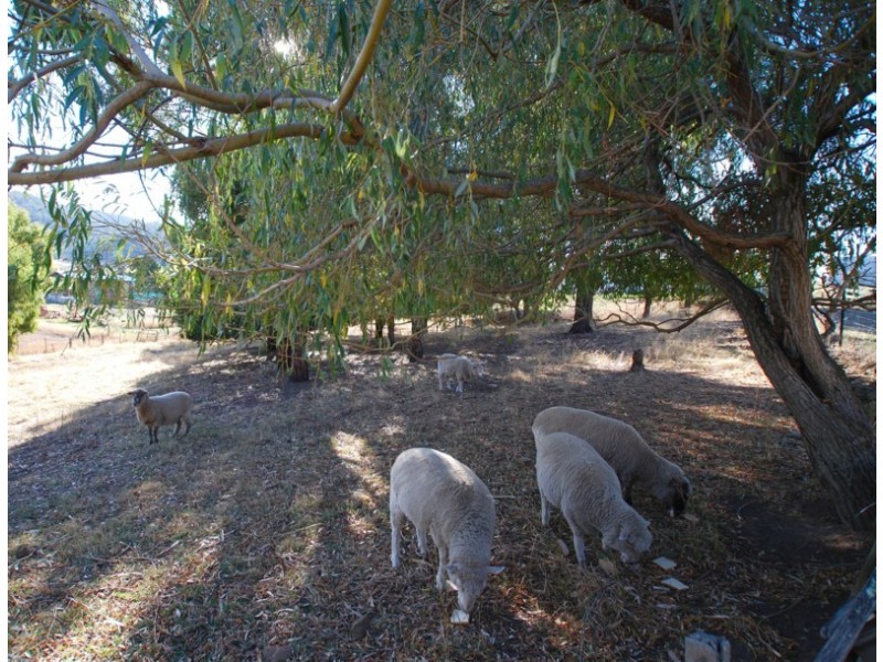 34 Winstead Road, Bagdad TAS 7030