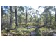 725 Clifton Vale Road, Elderslie TAS 7030
