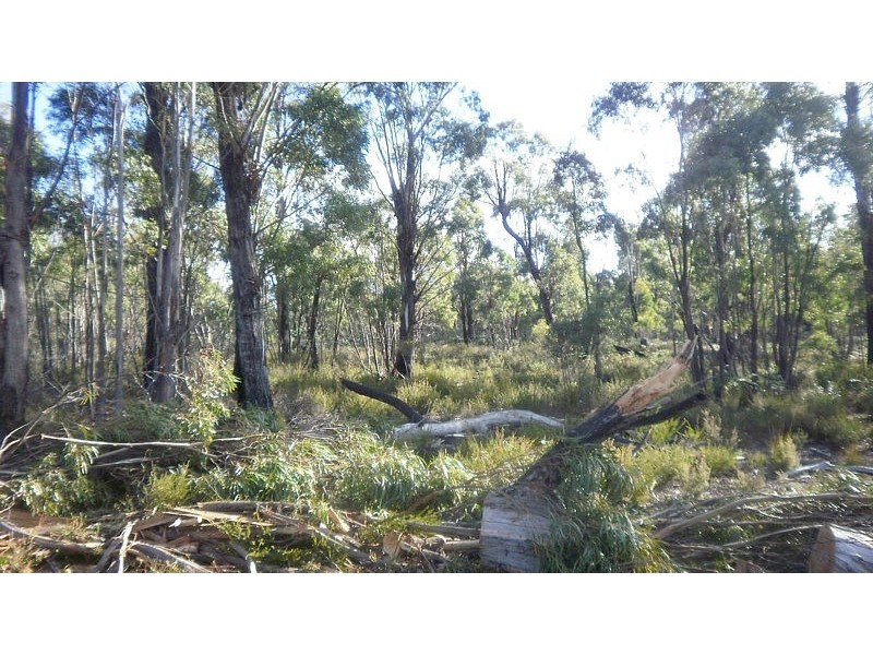 725 Clifton Vale Road, Elderslie TAS 7030