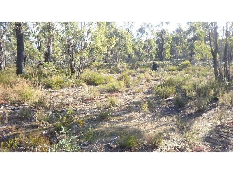 725 Clifton Vale Road, Elderslie TAS 7030