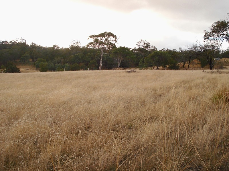 Lot 2, 500 Baskerville Road, Old Beach TAS 7017